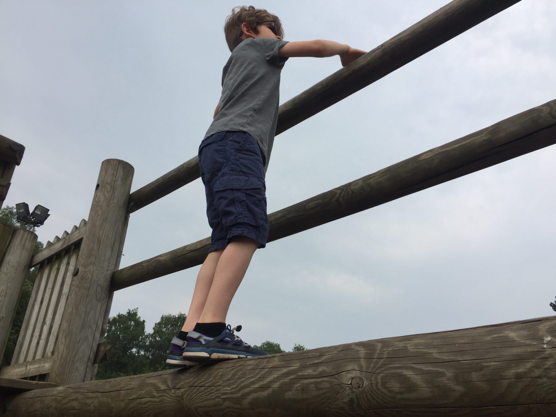 Dinosaur adventure park 