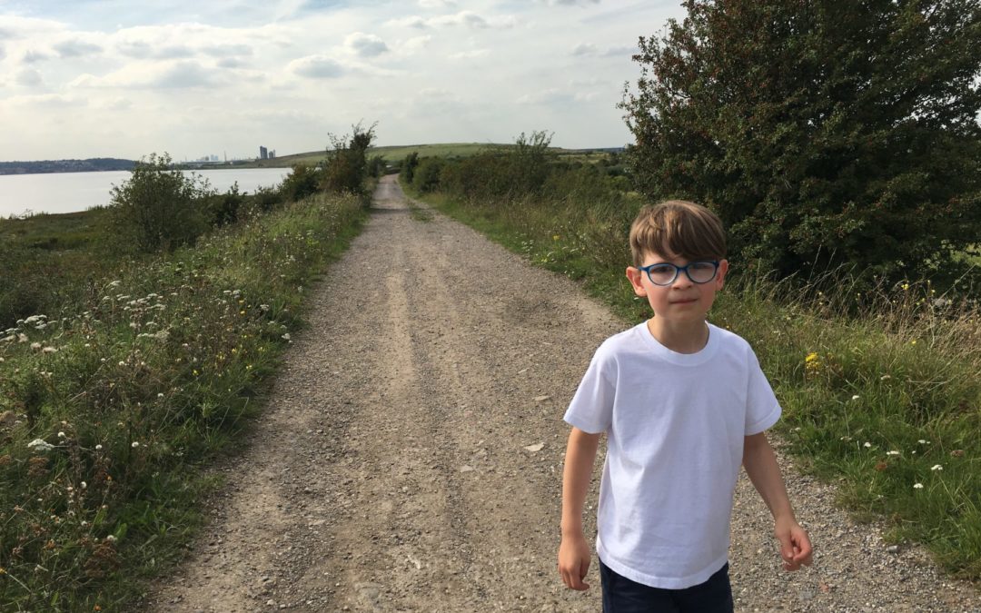 Rainham marshes